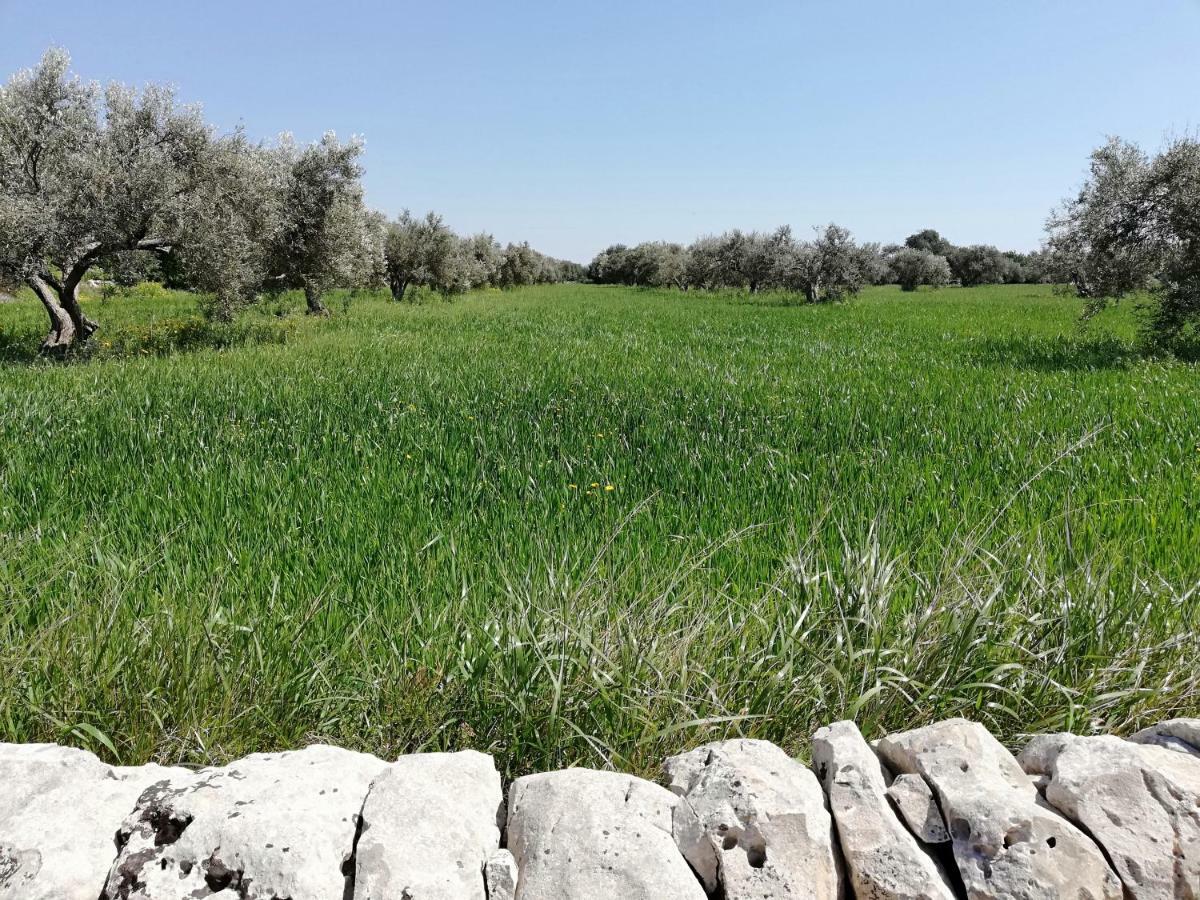 La Dimora Del Decano Villa Scicli Dış mekan fotoğraf